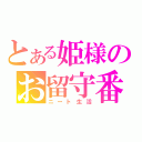 とある姫様のお留守番（ニート生活）