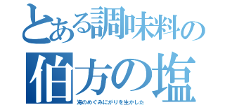 とある調味料の伯方の塩（海のめぐみにがりを生かした）