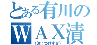 とある有川のＷＡＸ漬け（（注：つけすぎ））