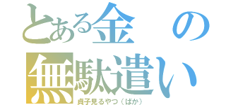 とある金の無駄遣い（貞子見るやつ（ばか））