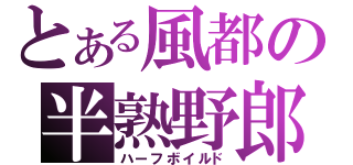 とある風都の半熟野郎（ハーフボイルド）