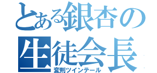 とある銀杏の生徒会長（変則ツインテール）