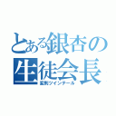 とある銀杏の生徒会長（変則ツインテール）