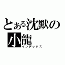 とある沈默の小龍（インデックス）