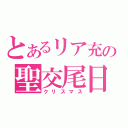 とあるリア充の聖交尾日（クリスマス）