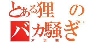 とある狸のバカ騒ぎ（アホ共）