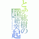 とある紘樹の超絶突起（ビックマグナム）