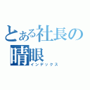 とある社長の晴眼（インデックス）