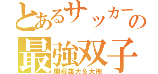 とあるサッカーの最強双子（関根雄大＆大樹）