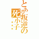 とある叛逆の死小子（揪肆偶辣）