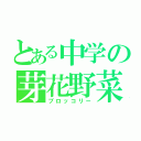 とある中学の芽花野菜（ブロッコリー）