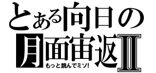 とある向日の月面宙返Ⅱ（もっと跳んでミソ！）