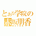 とある学院の赤坂朋香（腐女子野郎）