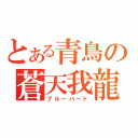 とある青鳥の蒼天我龍（ブルーバード）