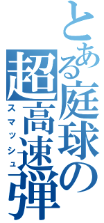 とある庭球の超高速弾（スマッシュ）