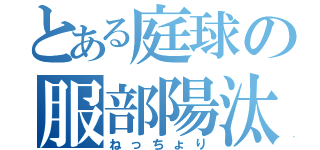 とある庭球の服部陽汰（ねっちょり）