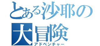 とある沙耶の大冒険（アドベンチャー）