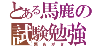 とある馬鹿の試験勉強（悪あがき）