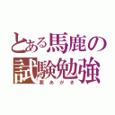 とある馬鹿の試験勉強（悪あがき）