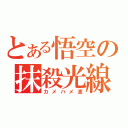 とある悟空の抹殺光線（カメハメ波）