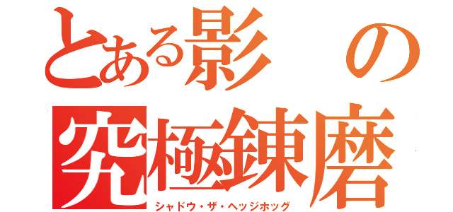 とある影の究極錬磨（シャドウ・ザ・ヘッジホッグ）