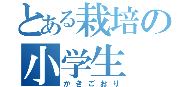 とある栽培の小学生（かきごおり）