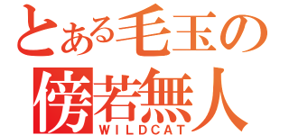 とある毛玉の傍若無人（ＷＩＬＤＣＡＴ）