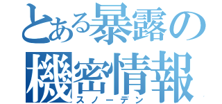 とある暴露の機密情報（スノーデン）