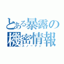 とある暴露の機密情報（スノーデン）