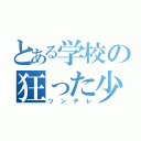 とある学校の狂った少女（ツンデレ）