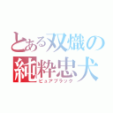 とある双熾の純粋忠犬（ピュアブラック）