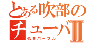 とある吹部のチューバ吹きⅡ（低音パーブル）