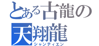 とある古龍の天翔龍（シャンティエン）