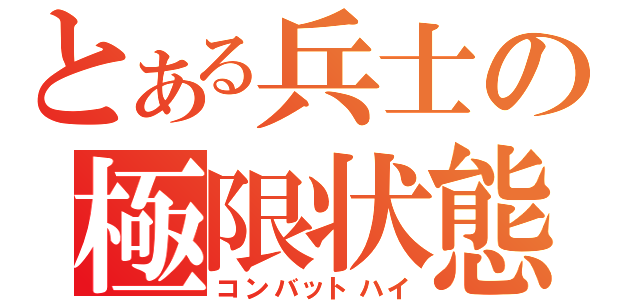 とある兵士の極限状態（コンバットハイ）