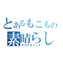 とあるもこもこの素晴らしい語録（キカナキャシネ）