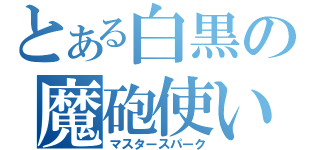 とある白黒の魔砲使い（マスタースパーク）