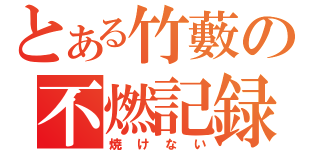 とある竹藪の不燃記録（焼けない）