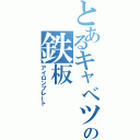 とあるキャベツの鉄板（アイロンプレート）