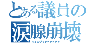 とある議員の涙腺崩壊（ヴぇぉヴぅァァァァァァ）