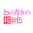 とある青春の桜景色（Ｃｈｅｒｒｙｂｏｙ）