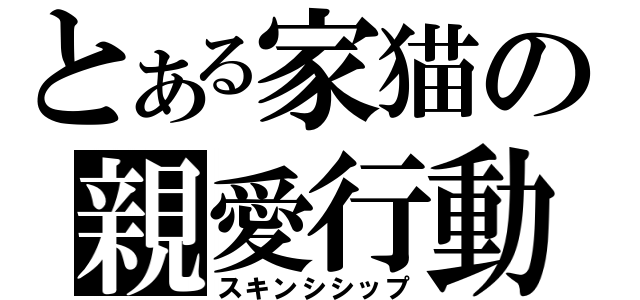 とある家猫の親愛行動（スキンシシップ）