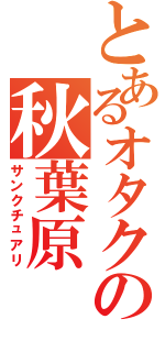 とあるオタクの秋葉原（サンクチュアリ）