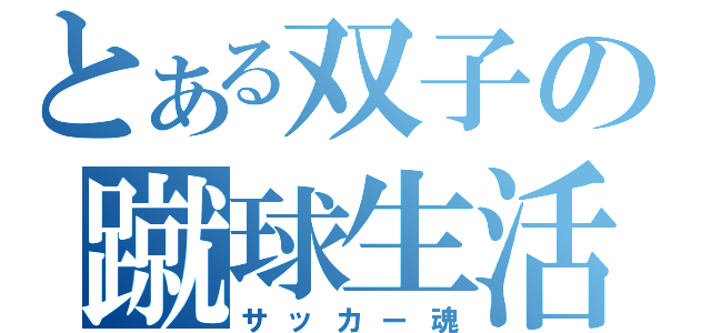 とある双子の蹴球生活（サッカー魂）