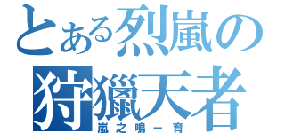 とある烈嵐の狩獵天者（嵐之鳴－育）