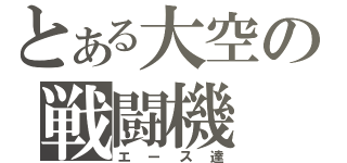 とある大空の戦闘機（エース達）