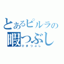 とあるピルラの暇つぶし（ひまつぶし）