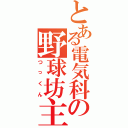 とある電気科の野球坊主（つっくん）