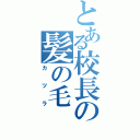 とある校長の髪の毛（カツラ）