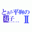 とある平胸の双子Ⅱ（インデックス）