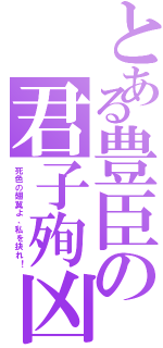 とある豊臣の君子殉凶Ⅱ（死色の翅翼よ、私を抉れ！）